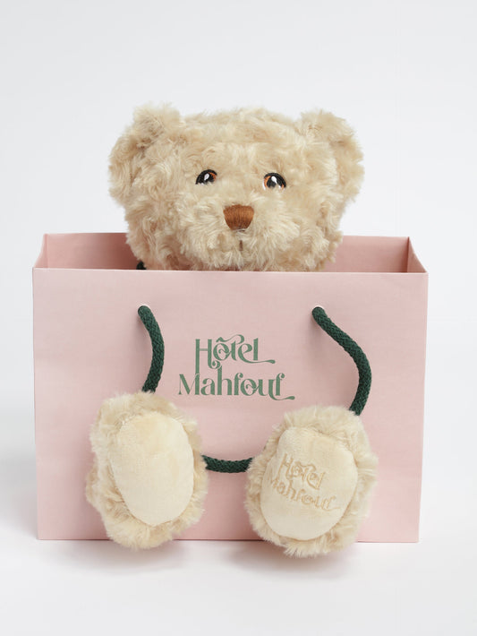 Ours en peluche